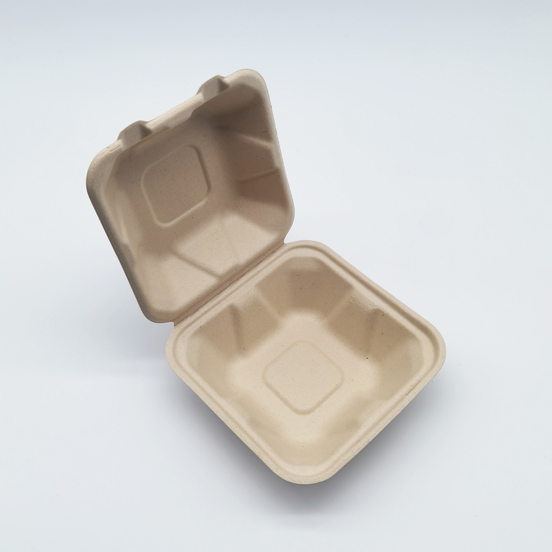 pl69682477-eco_friendly_food_biodegradable_bagasse_tableware_sugarcane_containers_for_camping