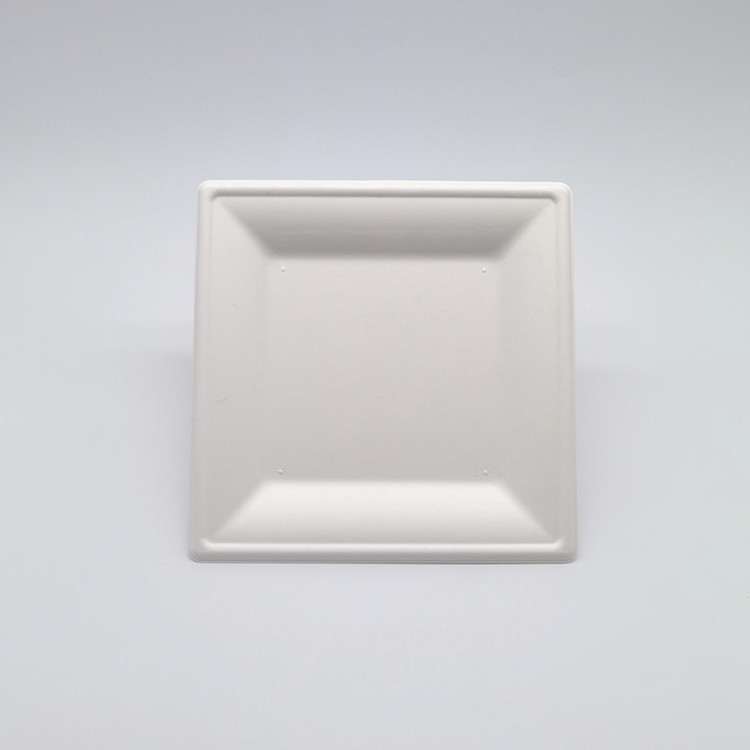 pl69689647-6_8_10_inch_biodegradable_bagasse_tableware_square_plates_for_party